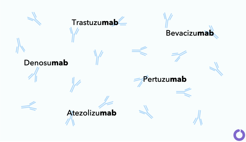 Monoclonal antibodies for breast cancer treatment