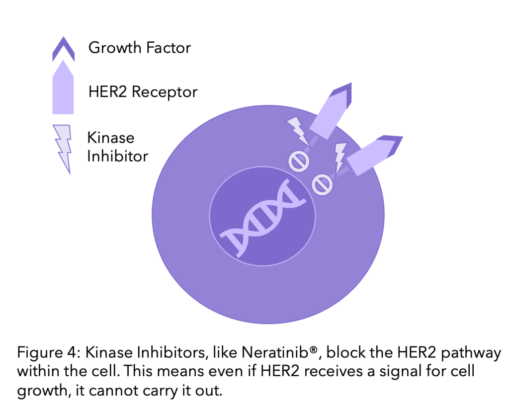 Diagram explaining kinase inhibitors