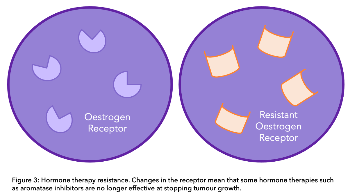 Diagram showing drug resistance