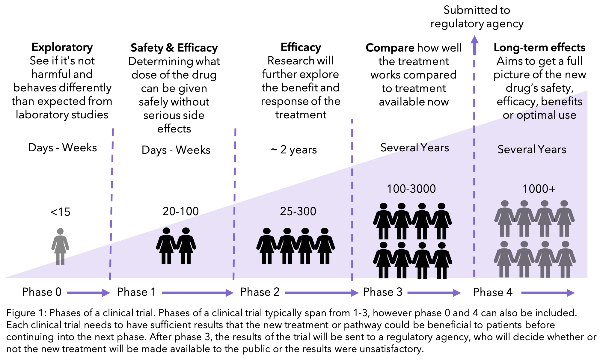 Diagram Explaining Clinical Trial Phases