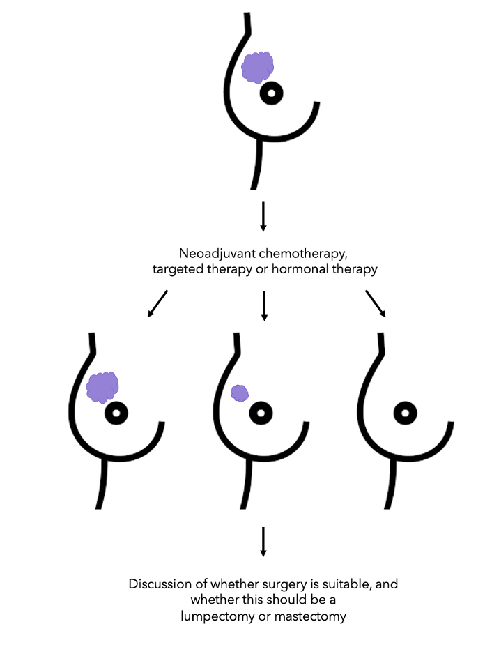 Neoadjuvant Chemotherapy