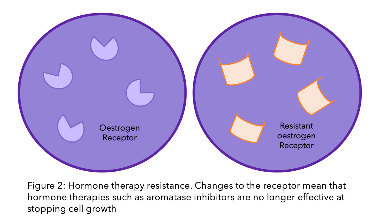 hormone therapy resistance 