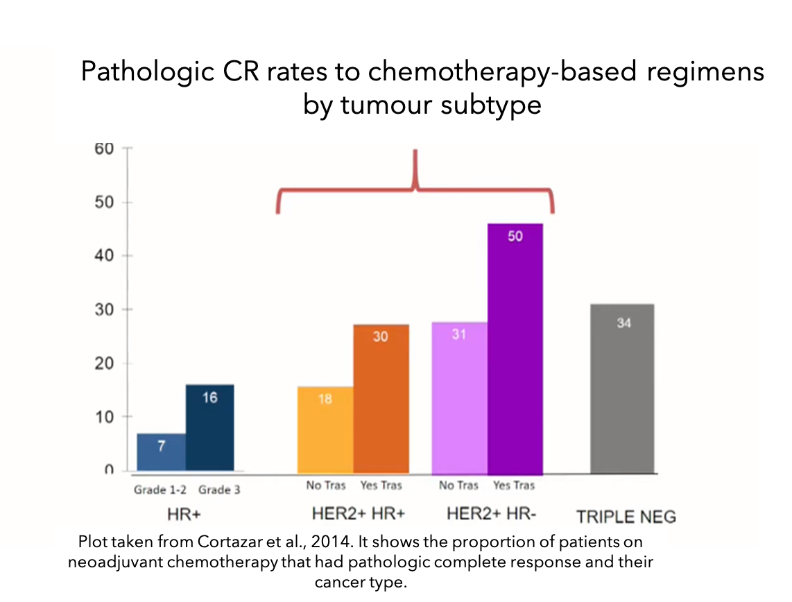 The Concept Of Neoadjuvant Therapy In Breast Cancer Owise Uk