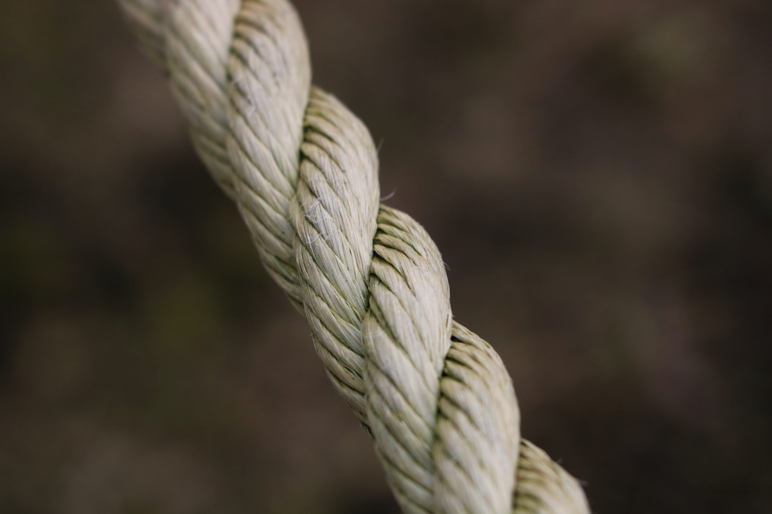 What Is Rope Flow? (The Four Things That Make Up Rope Flow) ROPE