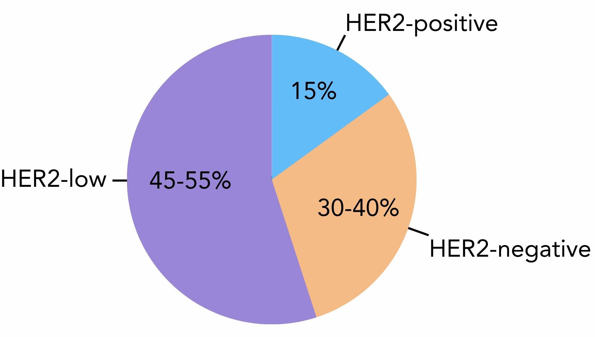 A pie chart showing the proportion of breast cancer cases that are HER2-positive (HER2+), HER2-low and HER2-negative (HER2-).